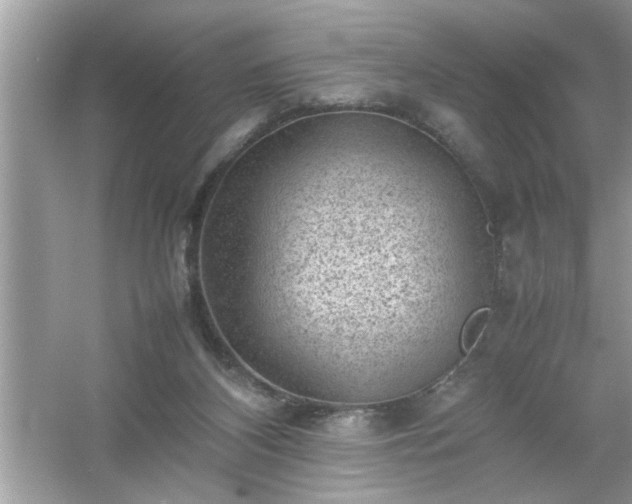 X0000054430116200508051843