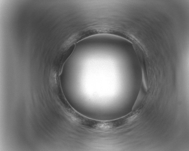 X0000054430117200508051843