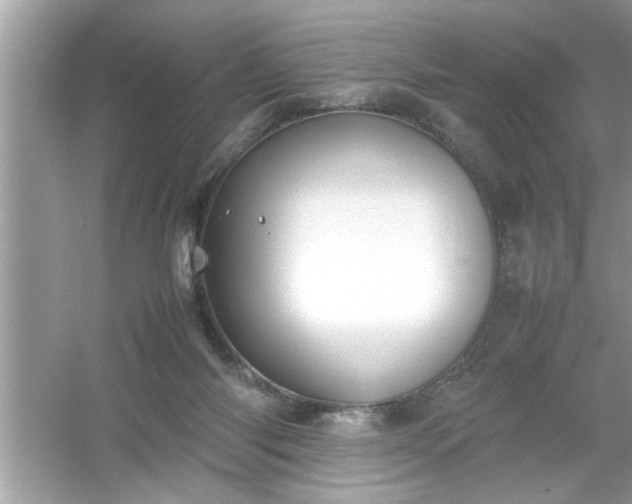 X0000054430118200508051843