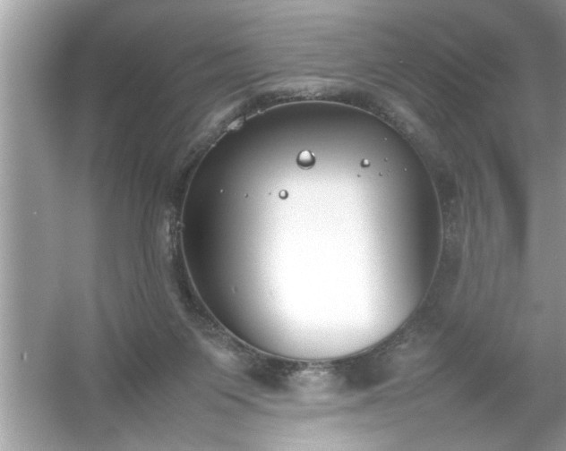 X0000054430119200508051843