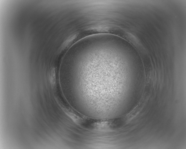 X0000054430120200508051843