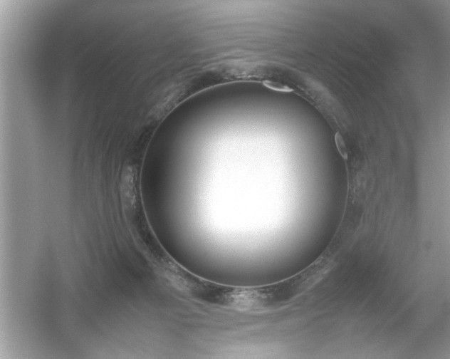 X0000054430121200508051843