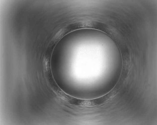 X0000054430123200508051843