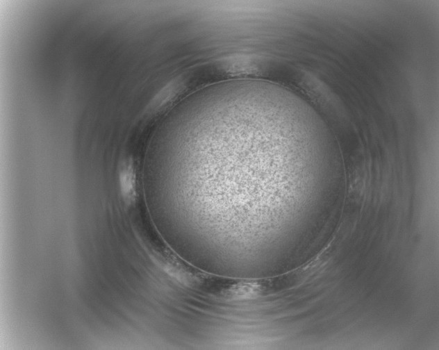 X0000054430124200508051843