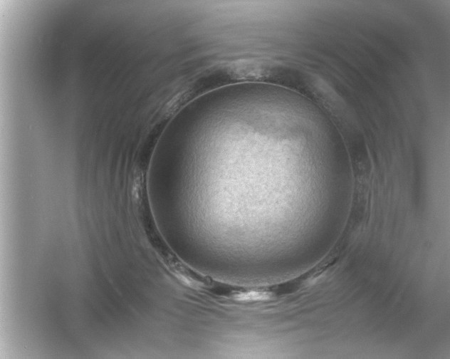 X0000054430125200508051843