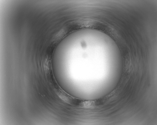 X0000054430126200508051843