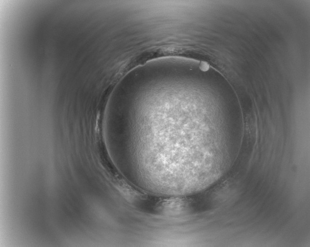 X0000054430127200508051843