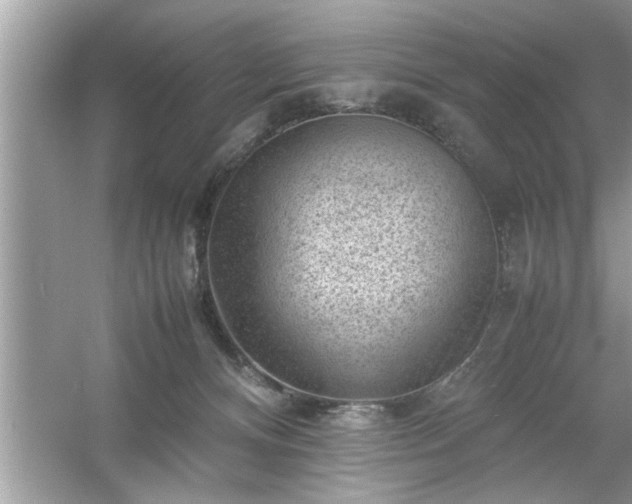 X0000054430128200508051843