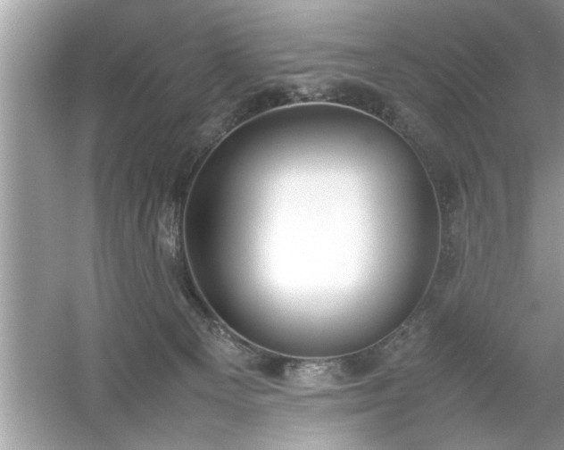 X0000054430129200508051843