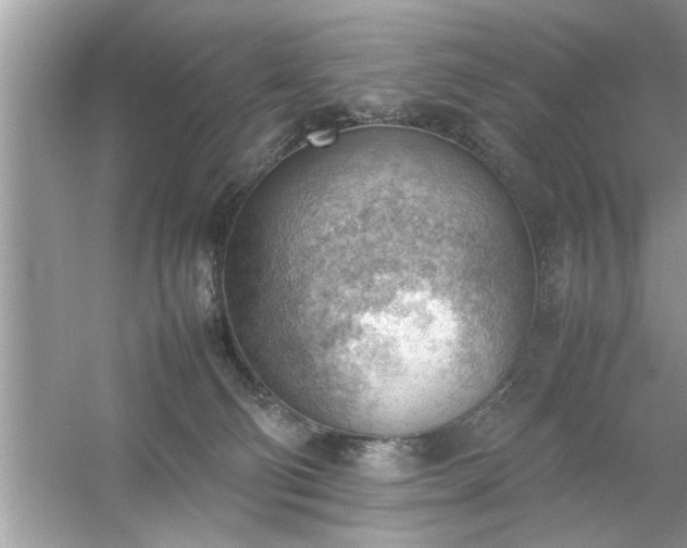 X0000054430130200508051843