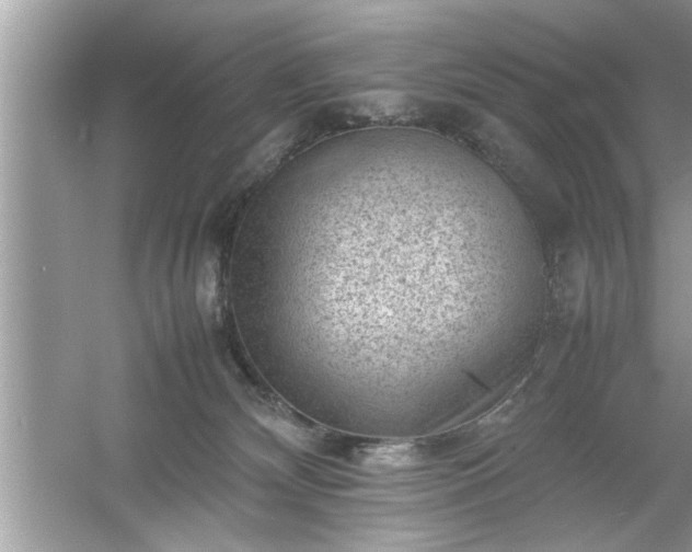 X0000054430132200508051842