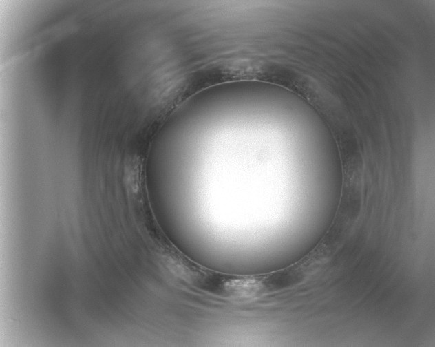 X0000054430133200508051842