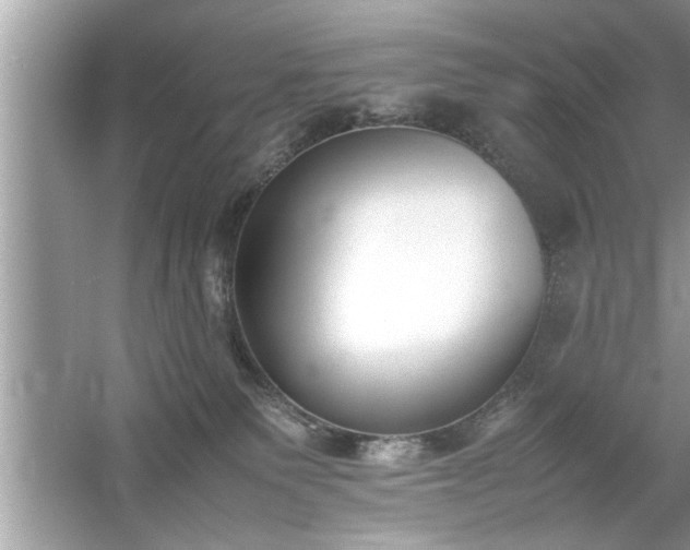 X0000054430135200508051842