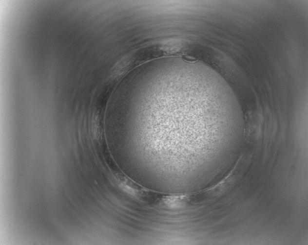 X0000054430136200508051842