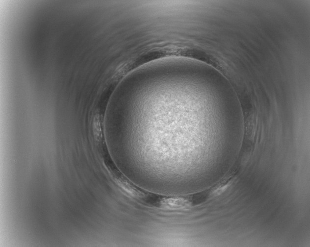 X0000054430137200508051842