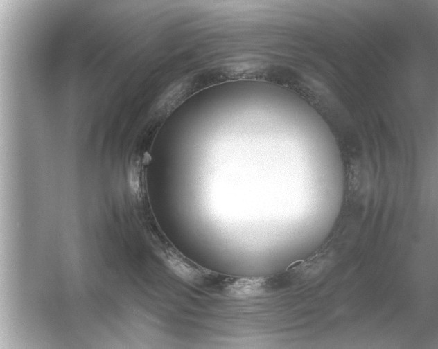 X0000054430138200508051842