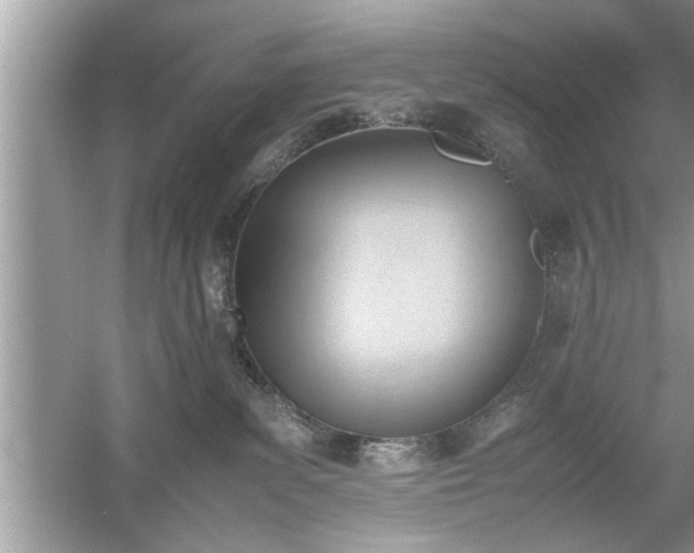 X0000054430139200508051842