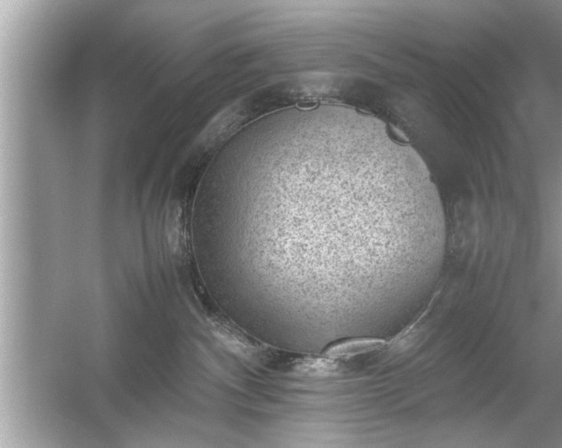 X0000054430140200508051842