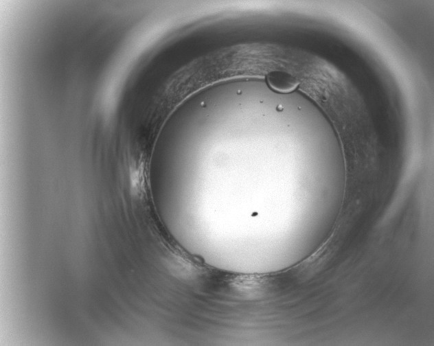 X0000054430142200508051842