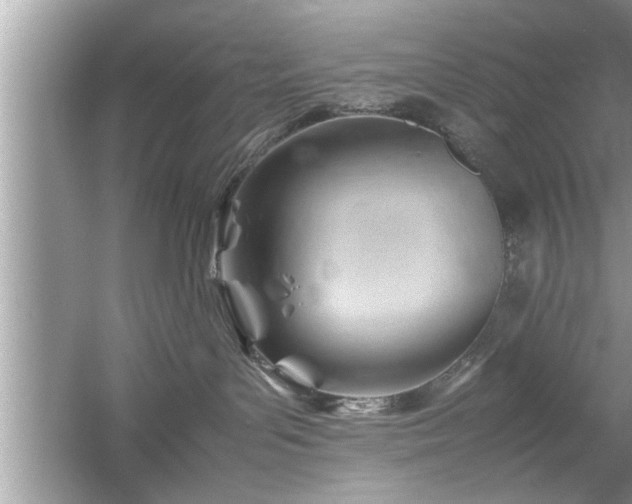 X0000054430143200508051842