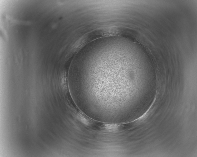 X0000054430144200508051842