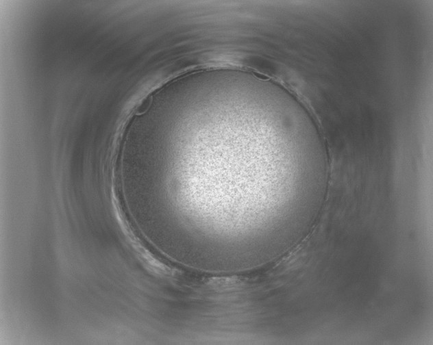 X0000054430145200508051841