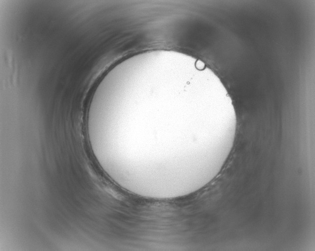 X0000054430146200508051841