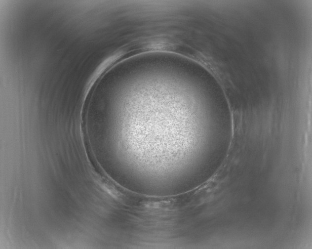 X0000054430147200508051842