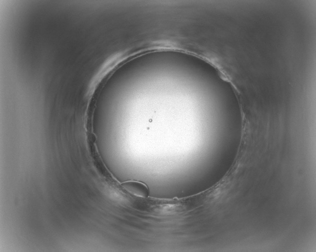 X0000054430151200508051842