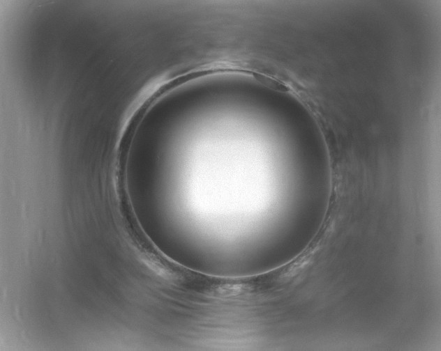 X0000054430152200508051842