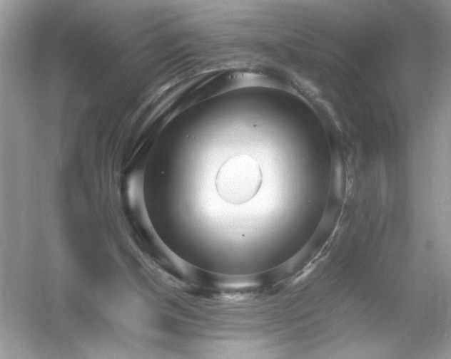 X0000054430154200508051842