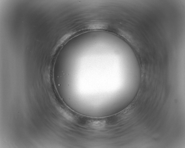 X0000054430155200508051842