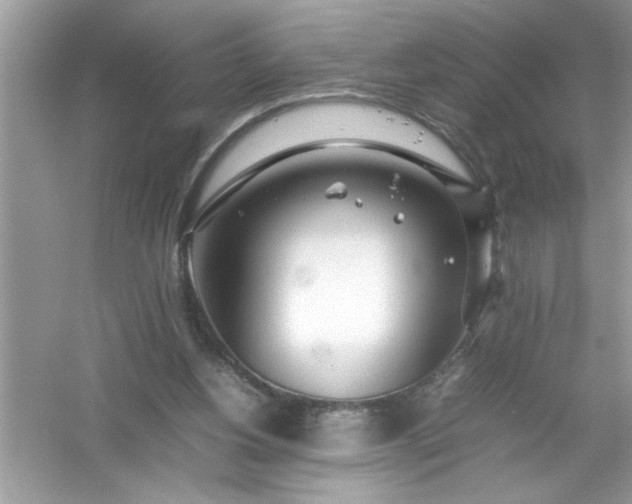 X0000054430156200508051842