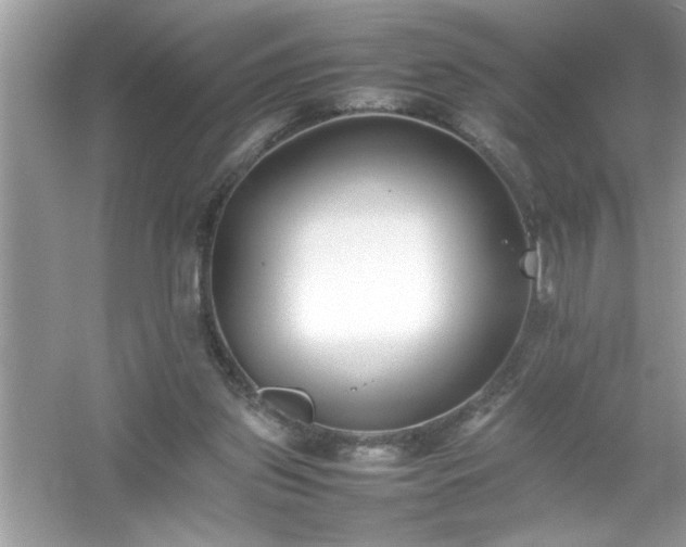 X0000054430157200508051842