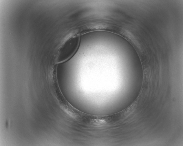 X0000054430159200508051842