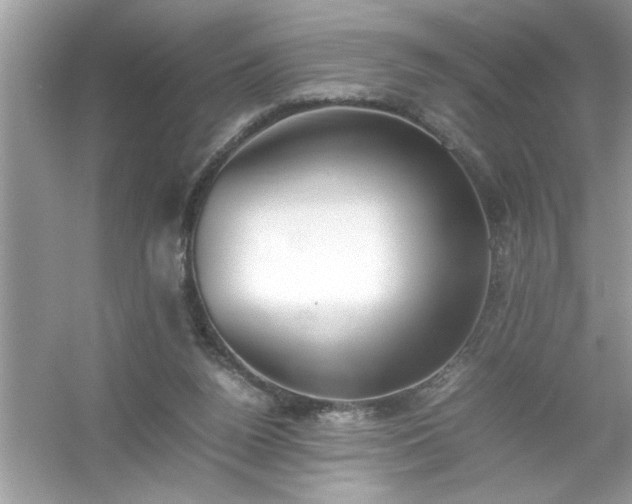 X0000054430160200508051842