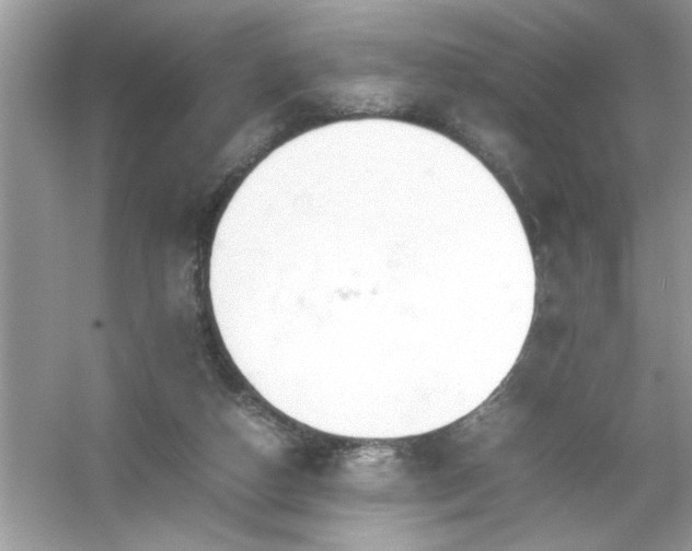 X0000054430162200508051842