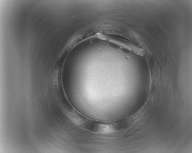 X0000054430167200508051842