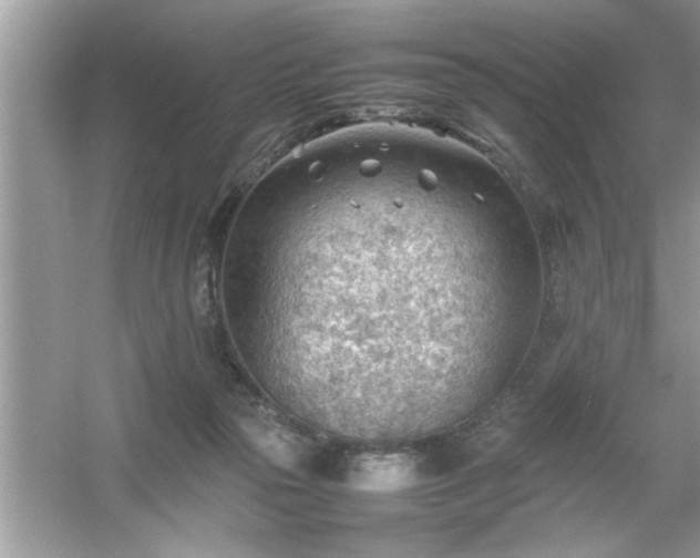 X0000054430169200508051842