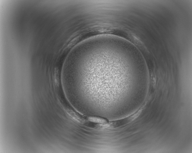 X0000054430170200508051842