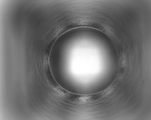 X0000054430172200508051842