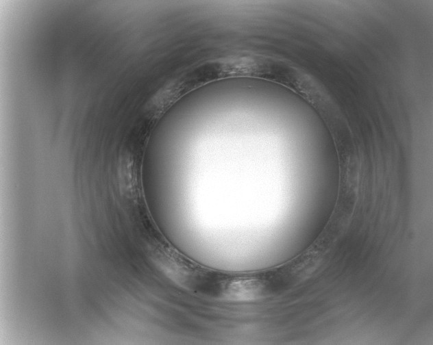 X0000054430173200508051842