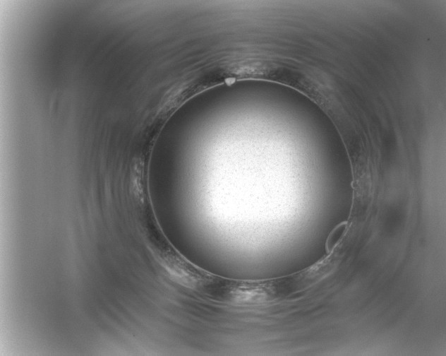 X0000054430175200508051842