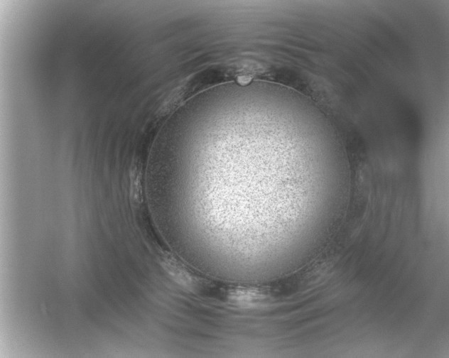 X0000054430177200508051842