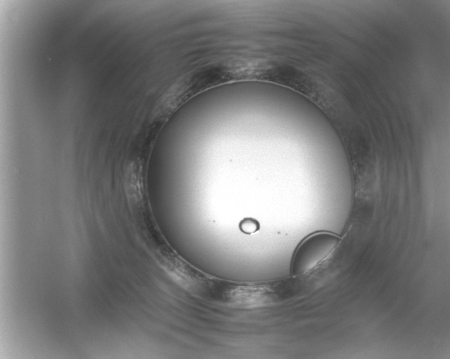 X0000054430179200508051842