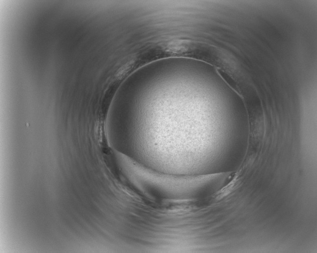 X0000054430180200508051842