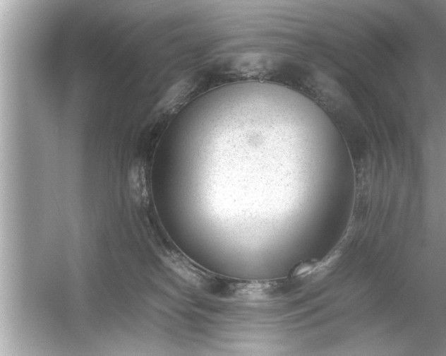 X0000054430182200508051842