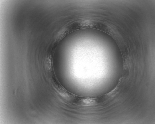 X0000054430183200508051842