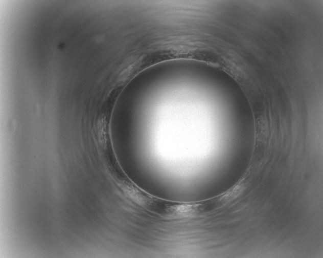 X0000054430184200508051842