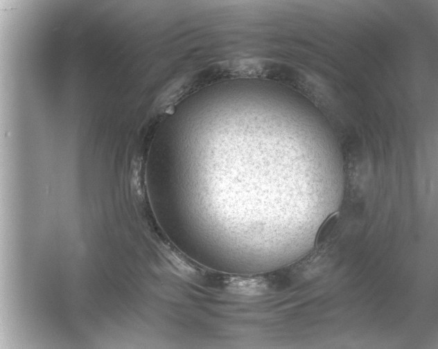 X0000054430185200508051842